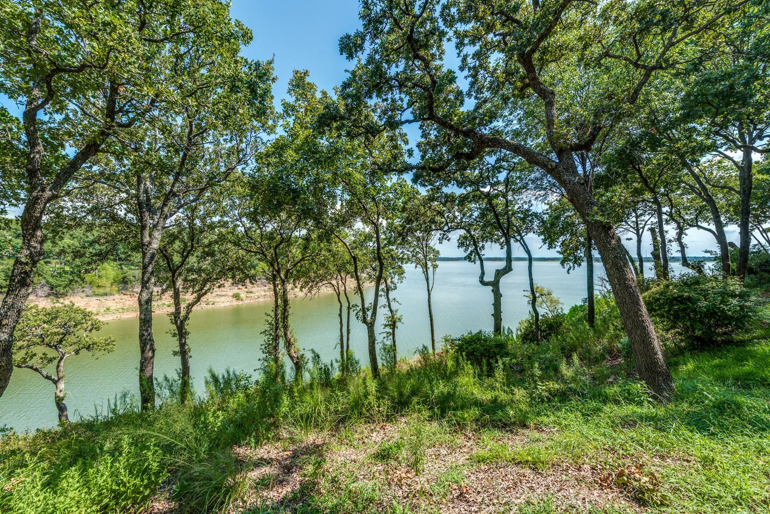 Properties for Sale in Flower Mound on 3+ Acres
